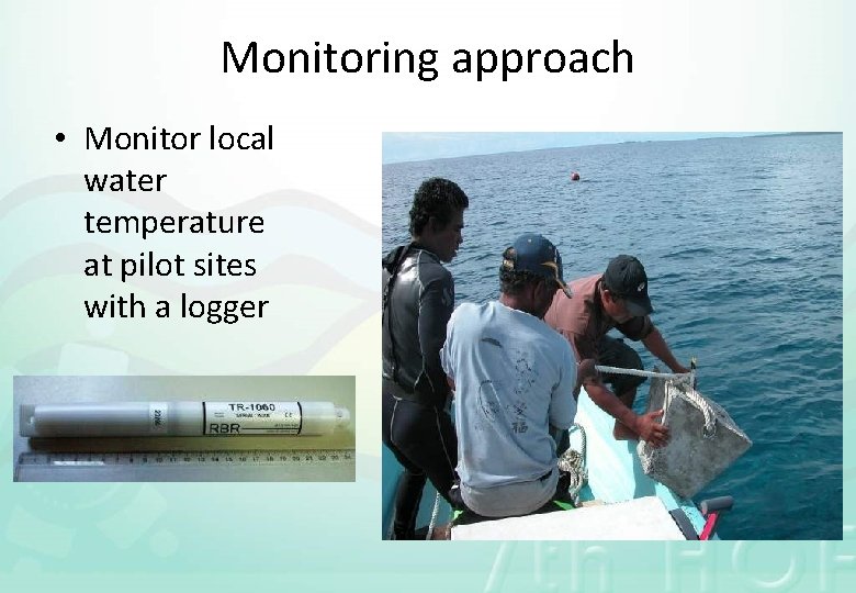 Monitoring approach • Monitor local water temperature at pilot sites with a logger 