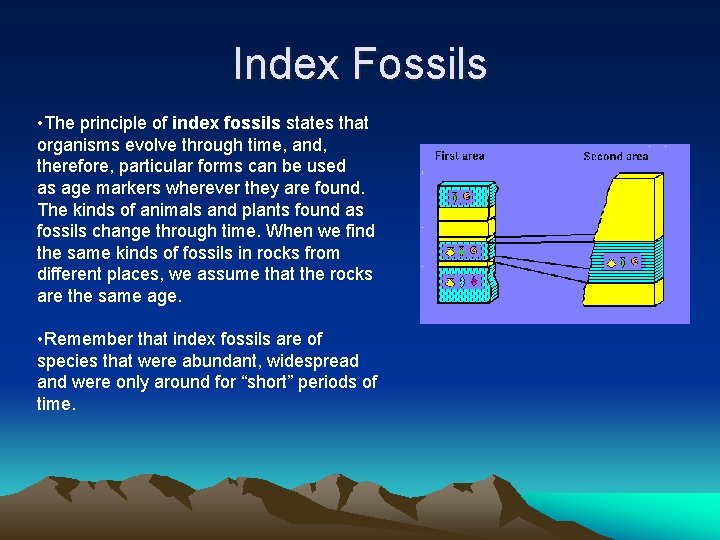 Index Fossils • The principle of index fossils states that organisms evolve through time,