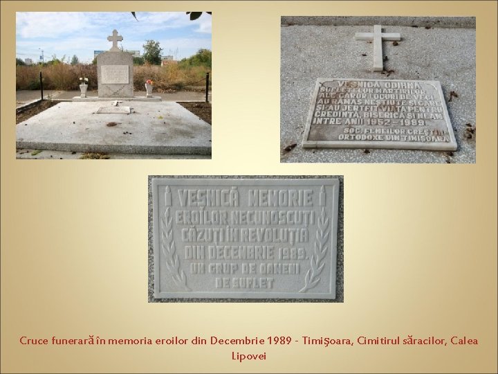 Cruce funerară în memoria eroilor din Decembrie 1989 - Timişoara, Cimitirul săracilor, Calea Lipovei