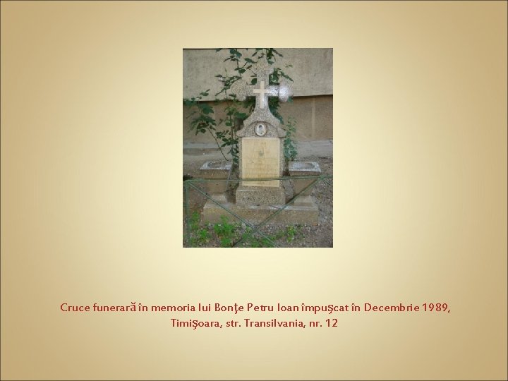 Cruce funerară în memoria lui Bonţe Petru Ioan împuşcat în Decembrie 1989, Timişoara, str.