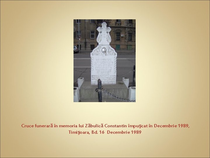 Cruce funerară în memoria lui Zăbulică Constantin împuşcat în Decembrie 1989, Timişoara, Bd. 16