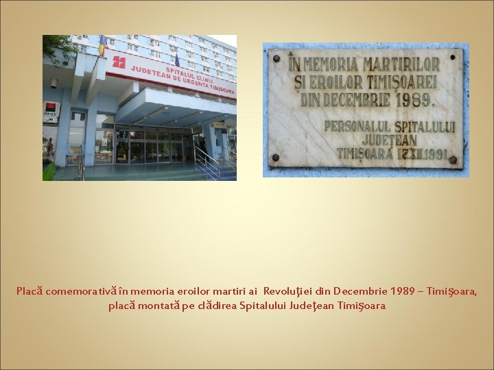 Placă comemorativă în memoria eroilor martiri ai Revoluţiei din Decembrie 1989 – Timişoara, placă