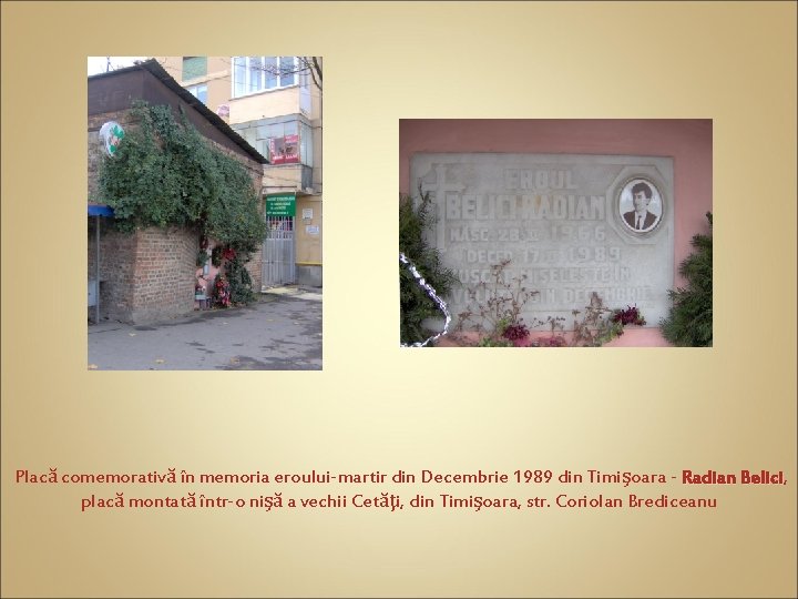 Placă comemorativă în memoria eroului-martir din Decembrie 1989 din Timişoara - Radian Belici, Belici