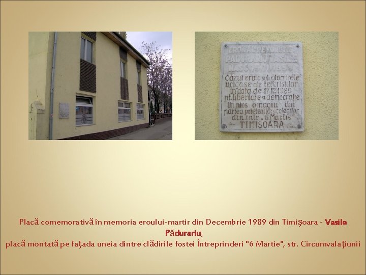 Placă comemorativă în memoria eroului-martir din Decembrie 1989 din Timişoara - Vasile Pădurariu, durariu