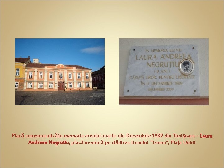 Placă comemorativă în memoria eroului-martir din Decembrie 1989 din Timişoara – Laura Andreea Negrutiu,