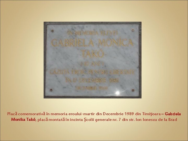Placă comemorativă în memoria eroului-martir din Decembrie 1989 din Timişoara – Gabriela Monika Takó,