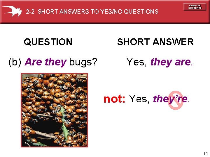2 -2 SHORT ANSWERS TO YES/NO QUESTIONS QUESTION (b) Are they bugs? SHORT ANSWER
