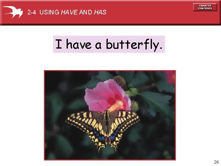 2 -4 USING HAVE AND HAS I have a butterfly. 26 