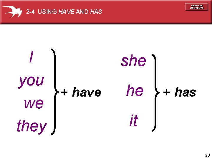 2 -4 USING HAVE AND HAS I you + have we they she he