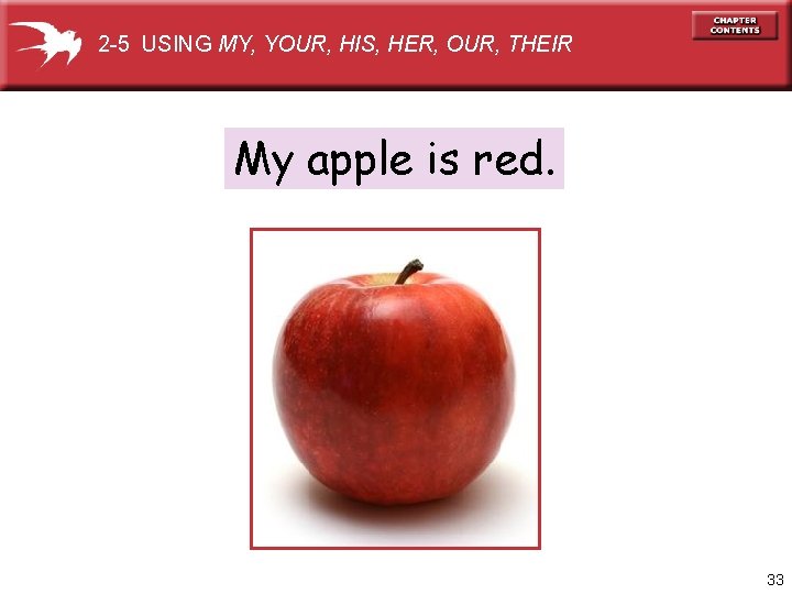 2 -5 USING MY, YOUR, HIS, HER, OUR, THEIR My apple is red. 33