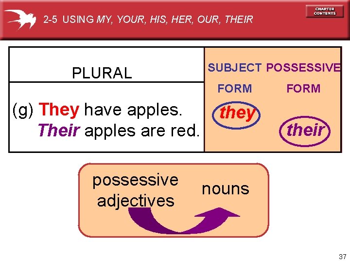 2 -5 USING MY, YOUR, HIS, HER, OUR, THEIR PLURAL SUBJECT POSSESSIVE FORM (g)