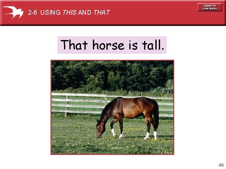 2 -6 USING THIS AND THAT That horse is tall. 46 