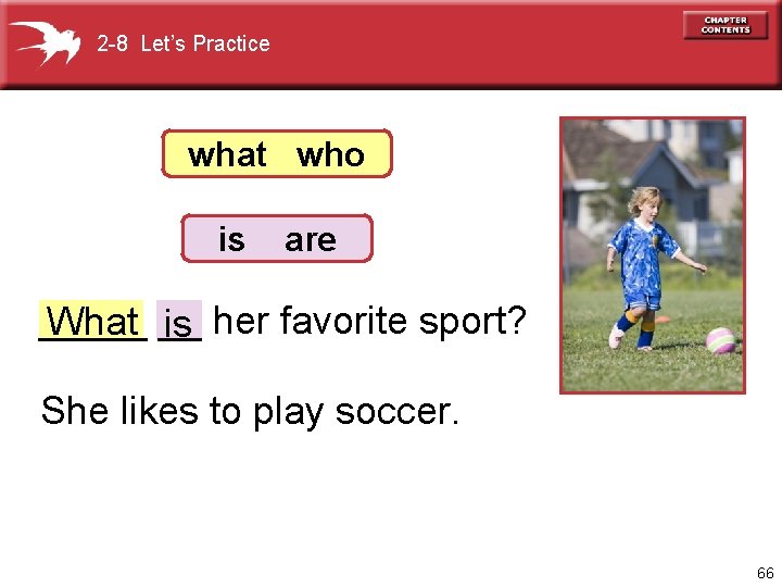 2 -8 Let’s Practice what who is are _____ What __ is her favorite