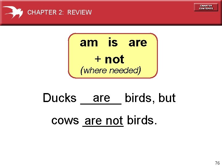CHAPTER 2: REVIEW am is are + not (where needed) are birds, but Ducks