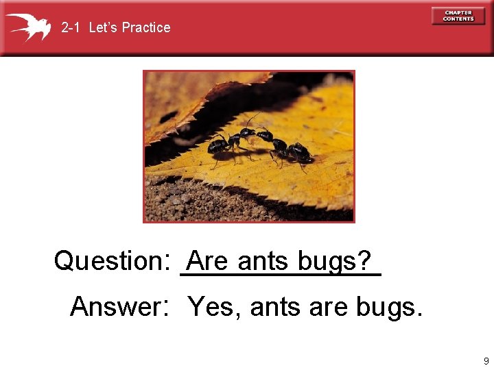 2 -1 Let’s Practice Question: ______ Are ants bugs? Answer: Yes, ants are bugs.