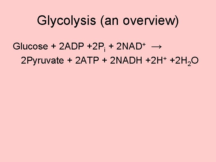 Glycolysis (an overview) Glucose + 2 ADP +2 Pi + 2 NAD+ → 2