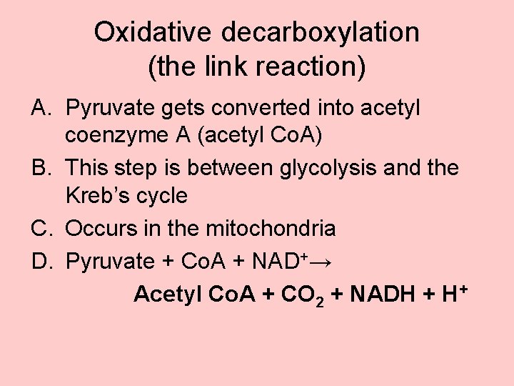Oxidative decarboxylation (the link reaction) A. Pyruvate gets converted into acetyl coenzyme A (acetyl