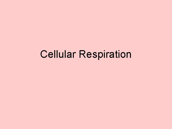Cellular Respiration 