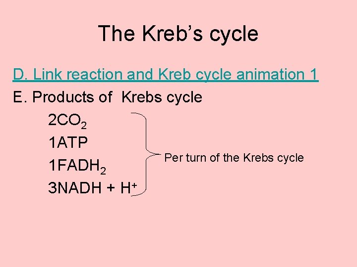 The Kreb’s cycle D. Link reaction and Kreb cycle animation 1 E. Products of