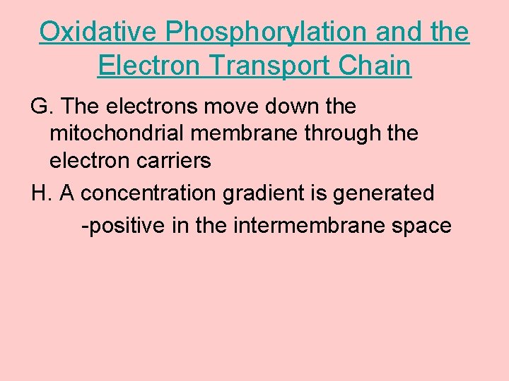 Oxidative Phosphorylation and the Electron Transport Chain G. The electrons move down the mitochondrial