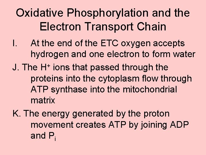 Oxidative Phosphorylation and the Electron Transport Chain I. At the end of the ETC