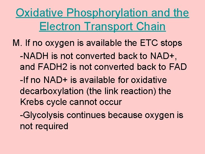 Oxidative Phosphorylation and the Electron Transport Chain M. If no oxygen is available the