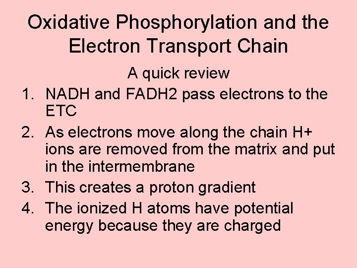 Oxidative Phosphorylation and the Electron Transport Chain 1. 2. 3. 4. A quick review