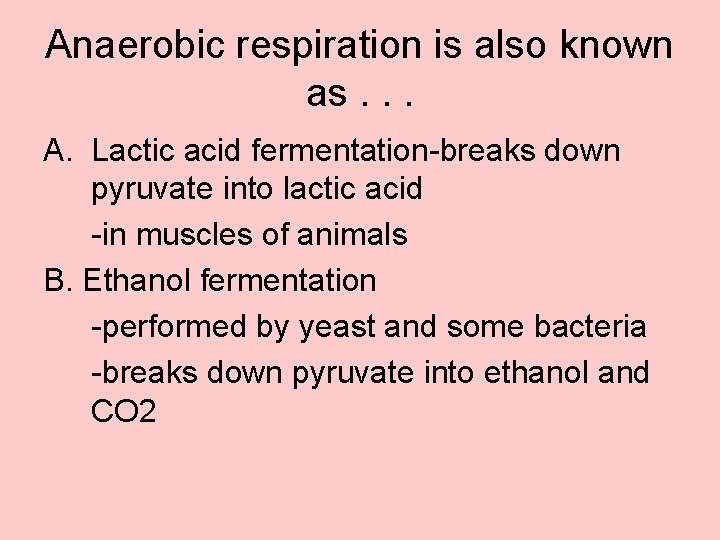Anaerobic respiration is also known as. . . A. Lactic acid fermentation-breaks down pyruvate