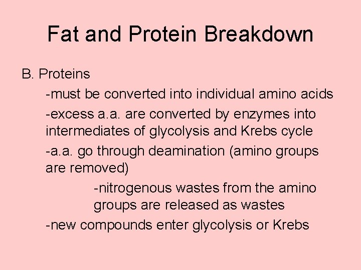 Fat and Protein Breakdown B. Proteins -must be converted into individual amino acids -excess