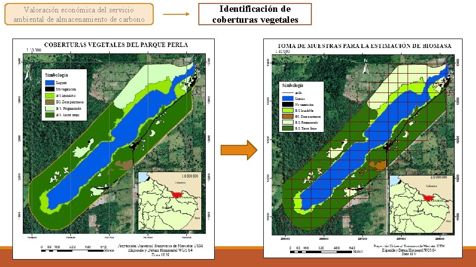 Valoración económica del servicio ambiental de almacenamiento de carbono Identificación de coberturas vegetales 