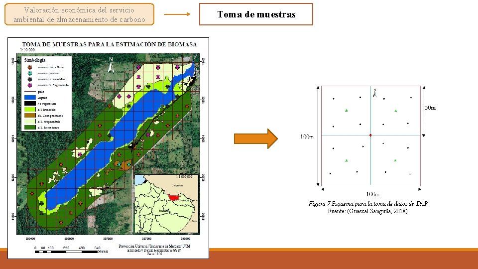 Valoración económica del servicio ambiental de almacenamiento de carbono Toma de muestras Figura 7