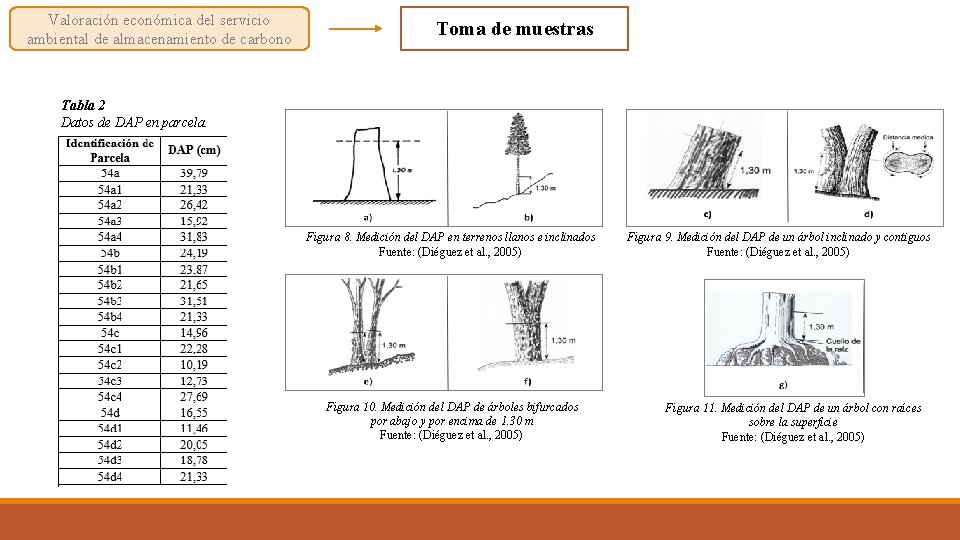 Valoración económica del servicio ambiental de almacenamiento de carbono Toma de muestras Tabla 2