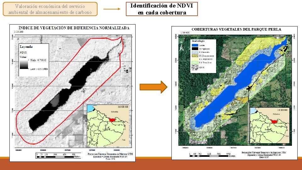 Valoración económica del servicio ambiental de almacenamiento de carbono Identificación de NDVI en cada