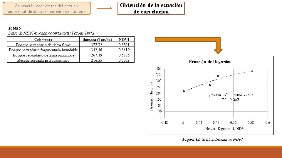 Valoración económica del servicio ambiental de almacenamiento de carbono Obtención de la ecuación de