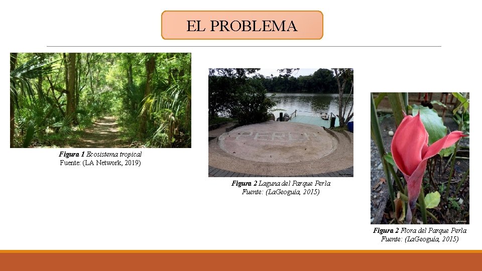 EL PROBLEMA Figura 1 Ecosistema tropical Fuente: (LA Network, 2019) Figura 2 Laguna del