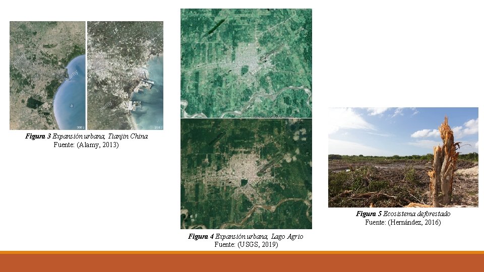 Figura 3 Expansión urbana, Tianjin China Fuente: (Alamy, 2013) Figura 5 Ecosistema deforestado Fuente: