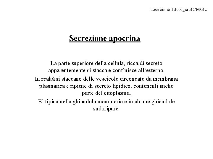 Lezioni di Istologia BCM/BU Secrezione apocrina La parte superiore della cellula, ricca di secreto