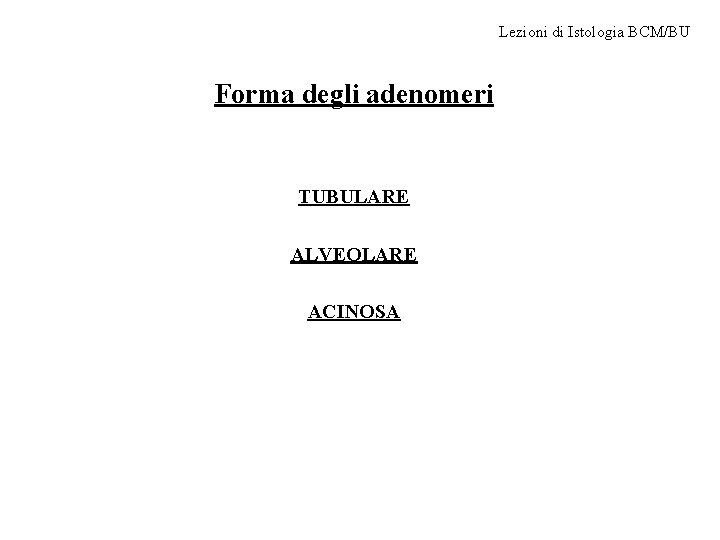 Lezioni di Istologia BCM/BU Forma degli adenomeri TUBULARE ALVEOLARE ACINOSA 