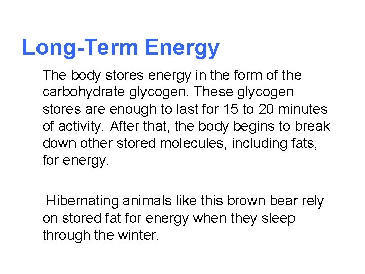Long-Term Energy The body stores energy in the form of the carbohydrate glycogen. These
