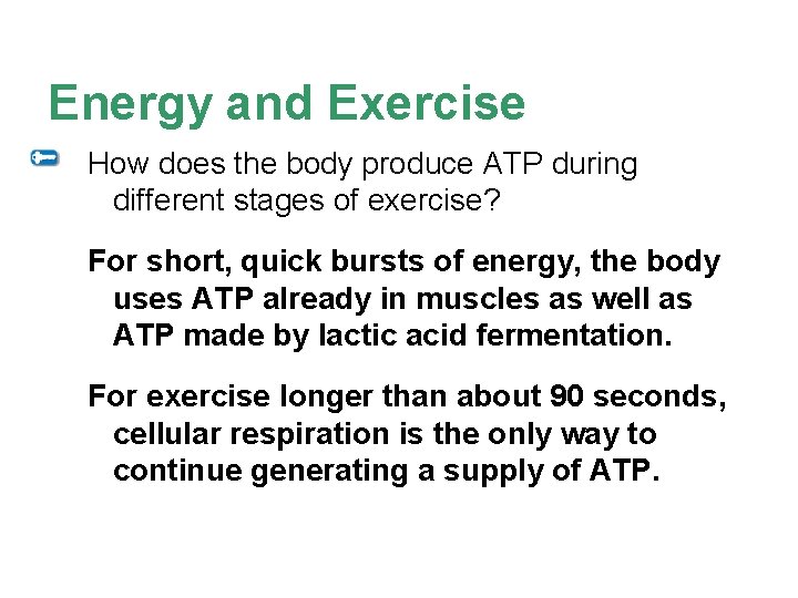 Energy and Exercise How does the body produce ATP during different stages of exercise?