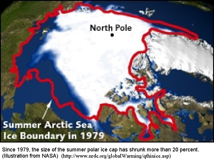 Since 1979, the size of the summer polar ice cap has shrunk more than