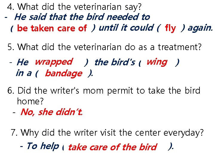 4. What did the veterinarian say? - He said that the bird needed to