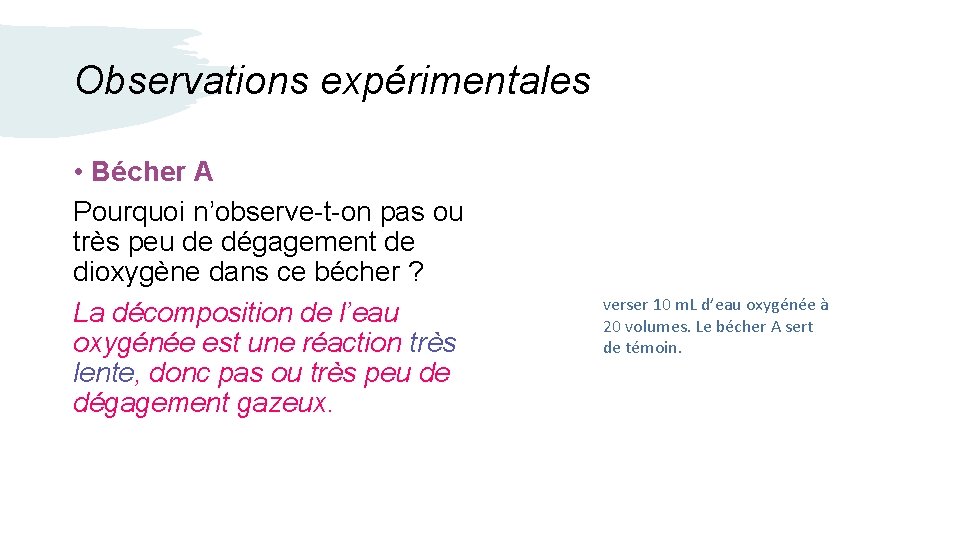 Observations expérimentales • Bécher A Pourquoi n’observe-t-on pas ou très peu de dégagement de