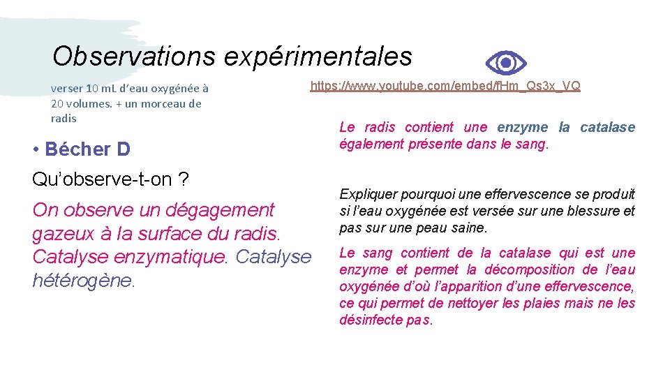 Observations expérimentales verser 10 m. L d’eau oxygénée à 20 volumes. + un morceau