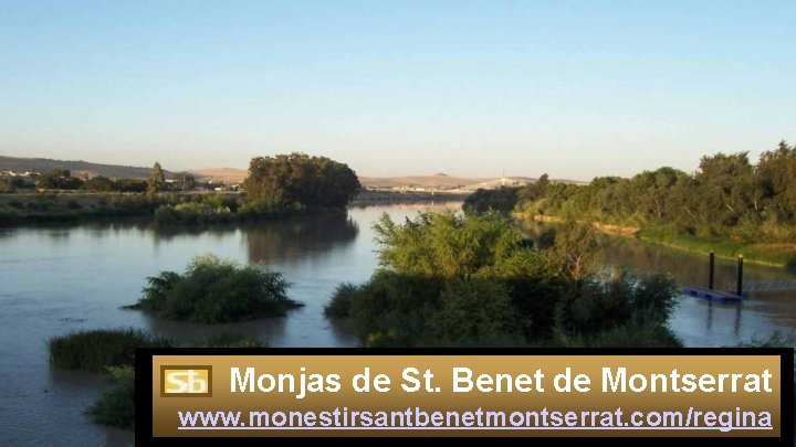 Monjas de St. Benet de Montserrat www. monestirsantbenetmontserrat. com/regina 