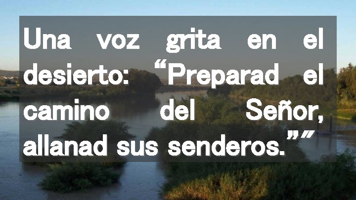 Una voz grita en el desierto: “Preparad el camino del Señor, allanad sus senderos.