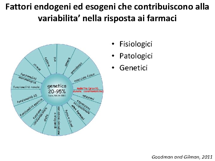 Fattori endogeni ed esogeni che contribuiscono alla variabilita’ nella risposta ai farmaci • Fisiologici