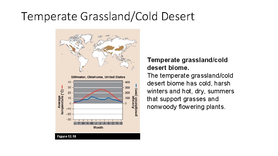 Temperate Grassland/Cold Desert Temperate grassland/cold desert biome. The temperate grassland/cold desert biome has cold,