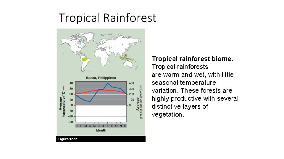 Tropical Rainforest Tropical rainforest biome. Tropical rainforests are warm and wet, with little seasonal