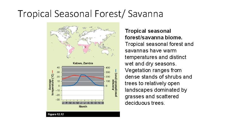 Tropical Seasonal Forest/ Savanna Tropical seasonal forest/savanna biome. Tropical seasonal forest and savannas have